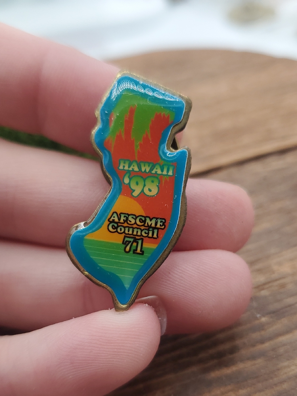 Hawaii '98 AFSCME Council 71 Collectible Pin - Colorful Enamel B468